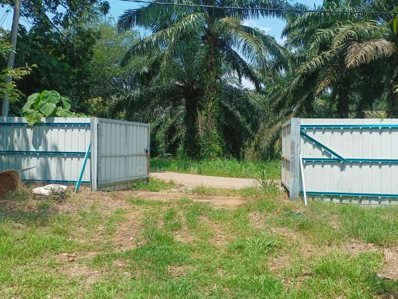 Tanah Pertanian untuk Dijual di Kampung Hulu Gali (Gali) - Chin SH - PropertyGuru.com.my