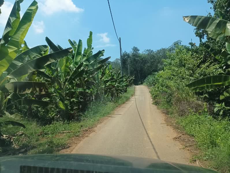 Tanah Pertanian untuk Dijual di Kampung Hulu Gali (Gali) - Chin SH - PropertyGuru.com.my