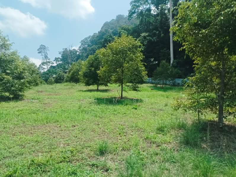 Tanah Pertanian untuk Dijual di Kampung Hulu Gali (Gali) - Chin SH - PropertyGuru.com.my