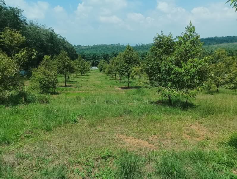 Tanah Pertanian untuk Dijual di Kampung Hulu Gali (Gali) - Chin SH - PropertyGuru.com.my