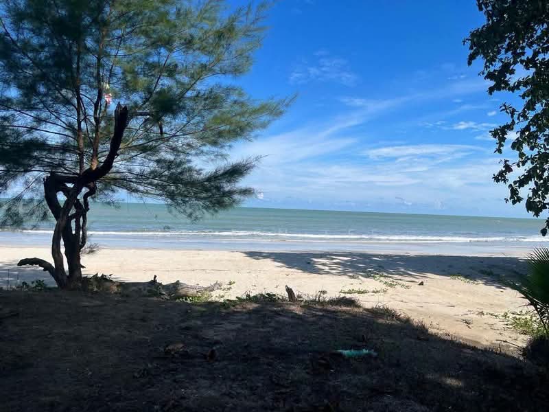 Tanah Pertanian untuk Dijual di Sedili Besar (Kota Tinggi) - Joreen Lee - PropertyGuru.com.my