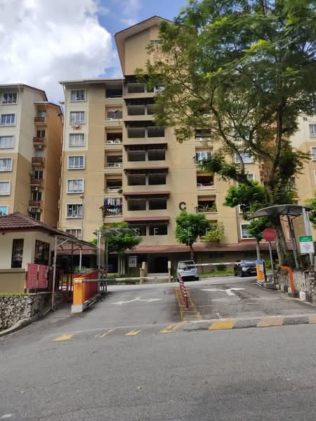 Kondominium untuk Disewa di Paradesa Tropika II - Jesse Lee - PropertyGuru.com.my