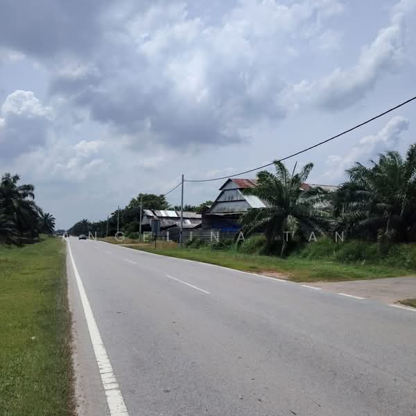 Industrial Land for Sale in Pekan Nenas (Jeram Batu) - Angelina Tan - PropertyGuru.com.my