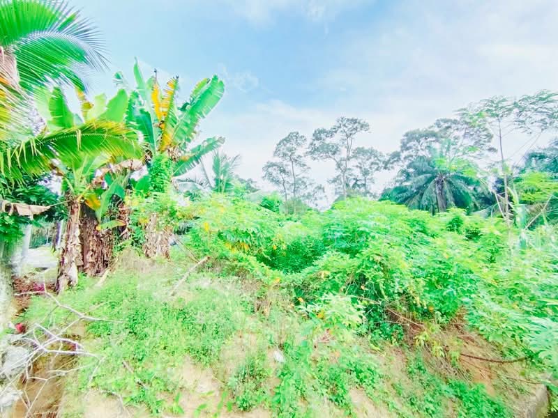 Tanah Kediaman untuk Dijual di Kampung Maju Jaya (Tebrau) - Annuur Ahmad - PropertyGuru.com.my