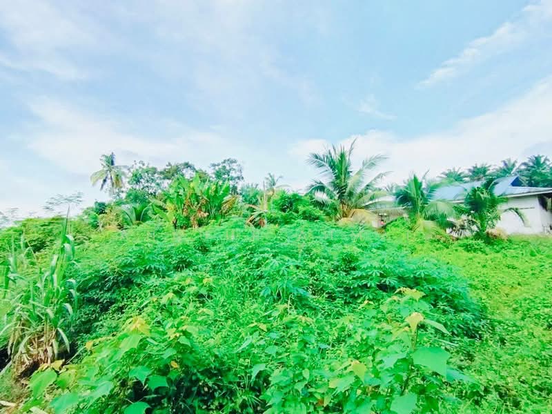 Tanah Kediaman untuk Dijual di Kampung Maju Jaya (Tebrau) - Annuur Ahmad - PropertyGuru.com.my