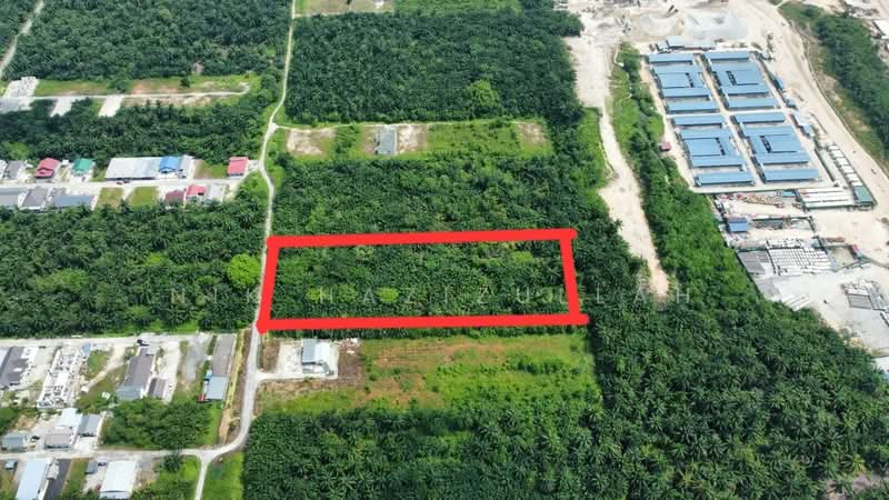 Agricultural Land for Sale in Kampung Seri Cheeding (Tanjong Duabelas) - Nik Hazizullah - PropertyGuru.com.my
