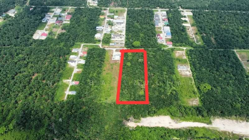Agricultural Land for Sale in Kampung Seri Cheeding (Tanjong Duabelas) - Nik Hazizullah - PropertyGuru.com.my