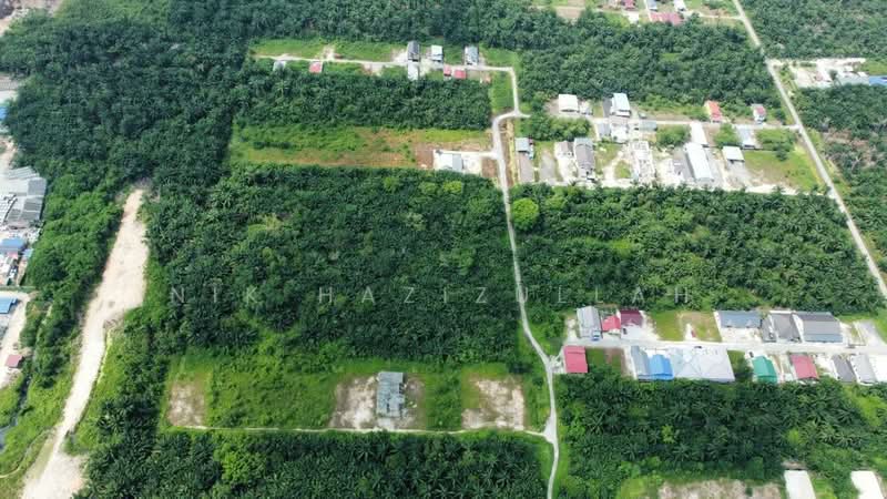 Agricultural Land for Sale in Kampung Seri Cheeding (Tanjong Duabelas) - Nik Hazizullah - PropertyGuru.com.my