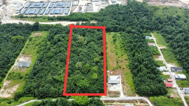 Agricultural Land for Sale in Kampung Seri Cheeding (Tanjong Duabelas) - Nik Hazizullah - PropertyGuru.com.my