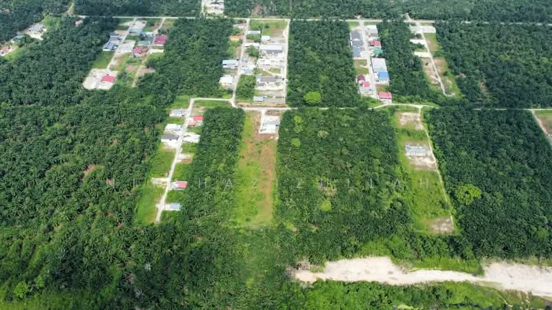 Agricultural Land for Sale in Kampung Seri Cheeding (Tanjong Duabelas) - Nik Hazizullah - PropertyGuru.com.my