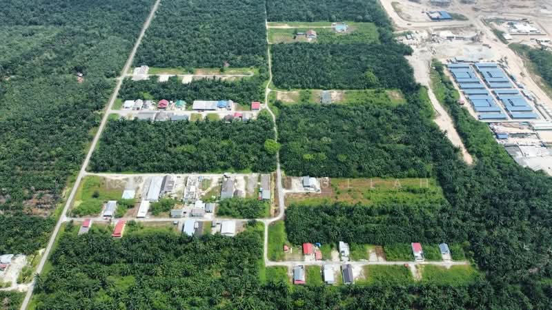 Agricultural Land for Sale in Kampung Seri Cheeding (Tanjong Duabelas) - Nik Hazizullah - PropertyGuru.com.my