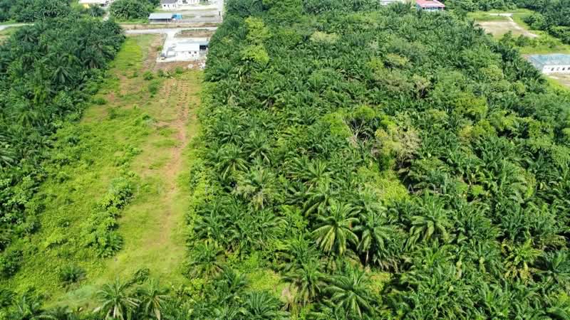 Agricultural Land for Sale in Kampung Seri Cheeding (Tanjong Duabelas) - Nik Hazizullah - PropertyGuru.com.my