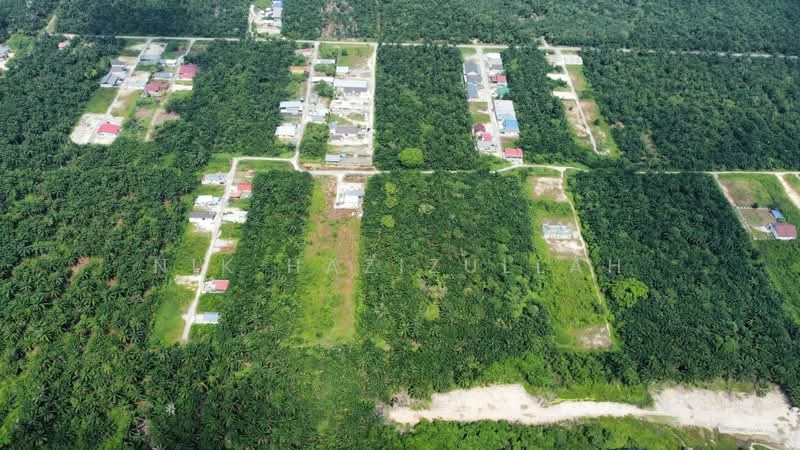 Agricultural Land for Sale in Kampung Seri Cheeding (Tanjong Duabelas) - Nik Hazizullah - PropertyGuru.com.my
