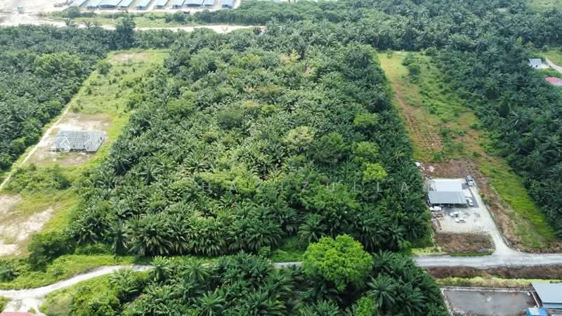 Agricultural Land for Sale in Kampung Seri Cheeding (Tanjong Duabelas) - Nik Hazizullah - PropertyGuru.com.my