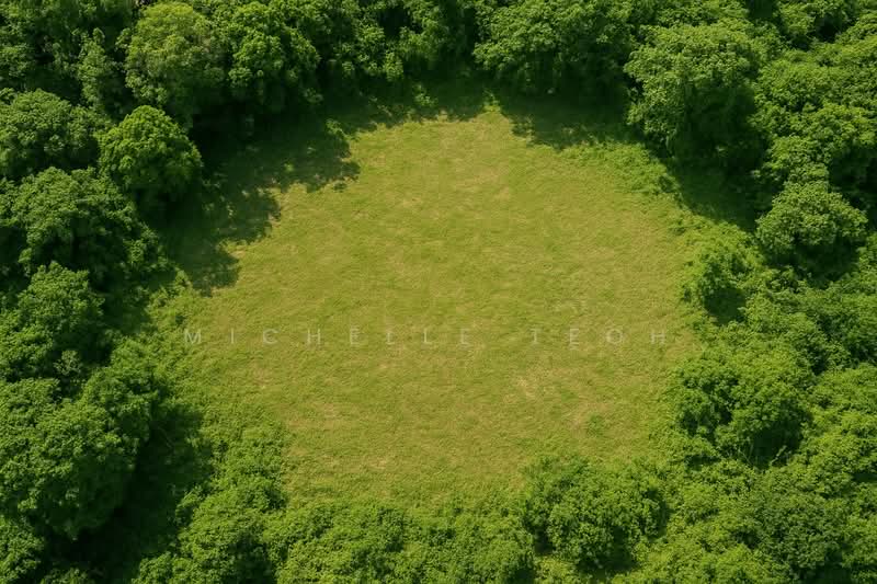 Agricultural Land for Sale in Ulu Langat (Selangor) - Michelle Teoh - Garden - PropertyGuru.com.my