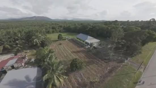 Tanah Pertanian untuk Dijual di Kota Tinggi (Johor) - Chris Liew - PropertyGuru.com.my