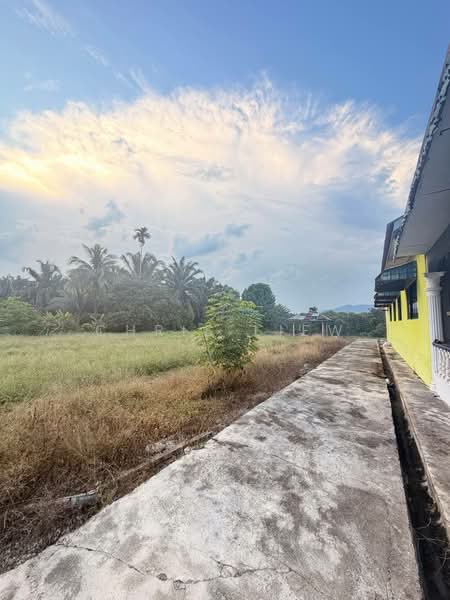Tanah Pertanian untuk Dijual di Kota Tinggi (Johor) - Chris Liew - PropertyGuru.com.my