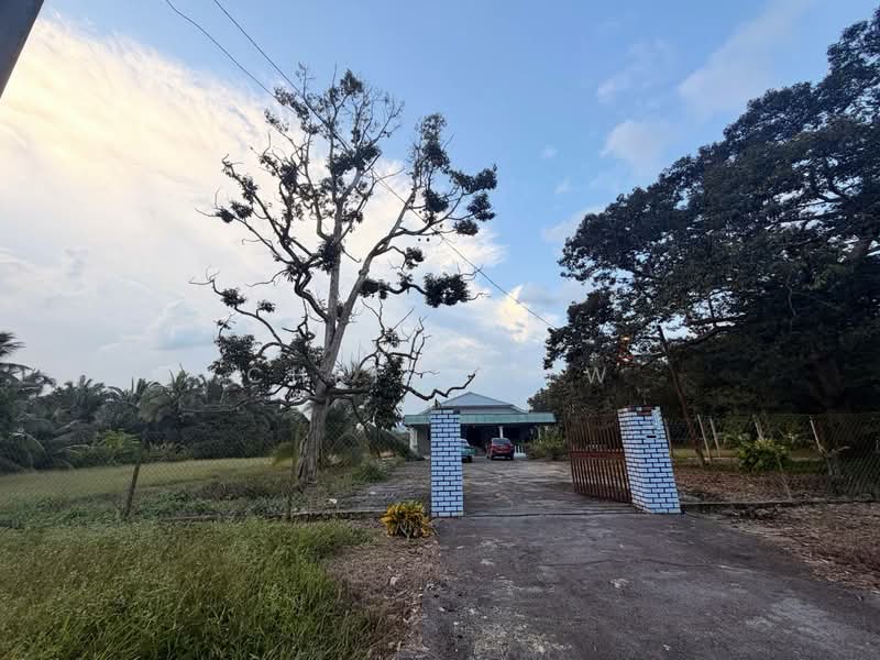 Tanah Pertanian untuk Dijual di Kota Tinggi (Johor) - Chris Liew - PropertyGuru.com.my