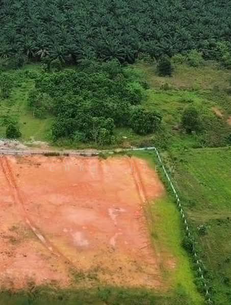 Industrial Land for Sale in Kampung Seelong Jaya (Senai) - Chris Liew - Exterior - PropertyGuru.com.my
