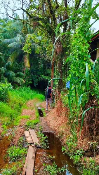 Others for Sale in Kampung Tanah Putih Darat Makbar (Kuantan) - Shik . - Exterior - PropertyGuru.com.my