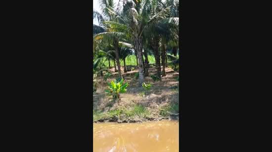 Agricultural Land for Sale in Tapah Road (Perak) - Fennie Tee - PropertyGuru.com.my
