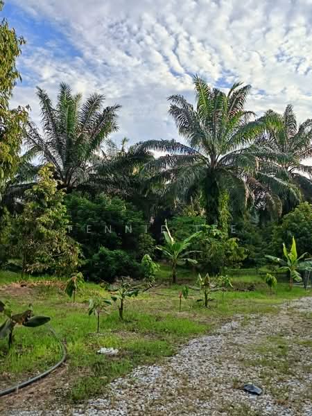 Agricultural Land for Sale in Tapah Road (Perak) - Fennie Tee - Plantation - PropertyGuru.com.my