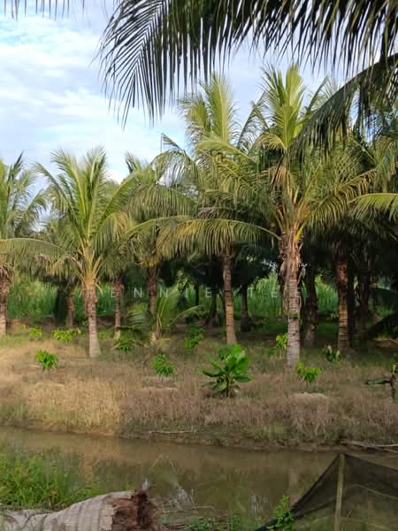Agricultural Land for Sale in Tapah Road (Perak) - Fennie Tee - Plantation - PropertyGuru.com.my