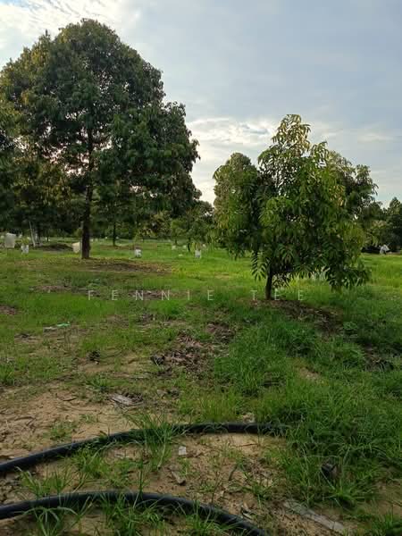 Agricultural Land for Sale in Tapah Road (Perak) - Fennie Tee - Plantation - PropertyGuru.com.my