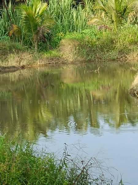 Agricultural Land for Sale in Tapah Road (Perak) - Fennie Tee - Exterior - PropertyGuru.com.my