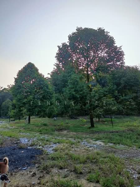 Agricultural Land for Sale in Tapah Road (Perak) - Fennie Tee - Exterior - PropertyGuru.com.my