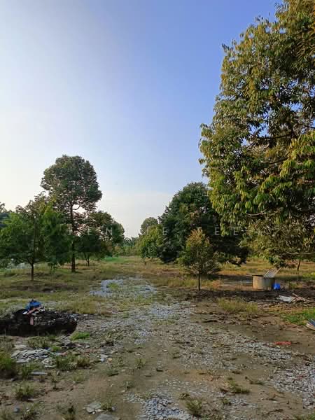 Agricultural Land for Sale in Tapah Road (Perak) - Fennie Tee - Exterior - PropertyGuru.com.my