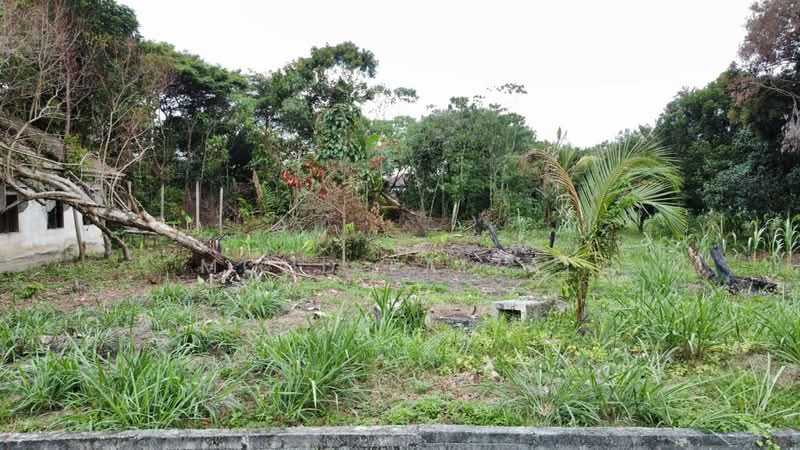 Agricultural Land for Sale in Sungai Buloh (Selangor) - Mohd Faizal - Exterior - PropertyGuru.com.my