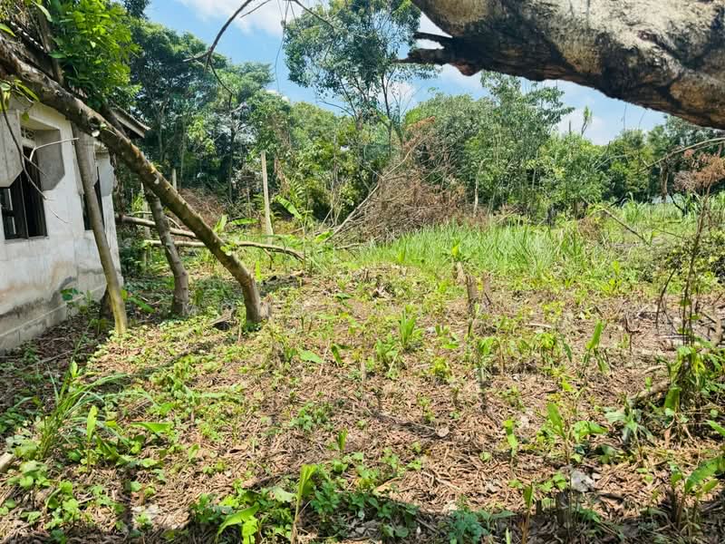 Agricultural Land for Sale in Sungai Buloh (Selangor) - Mohd Faizal - Exterior - PropertyGuru.com.my