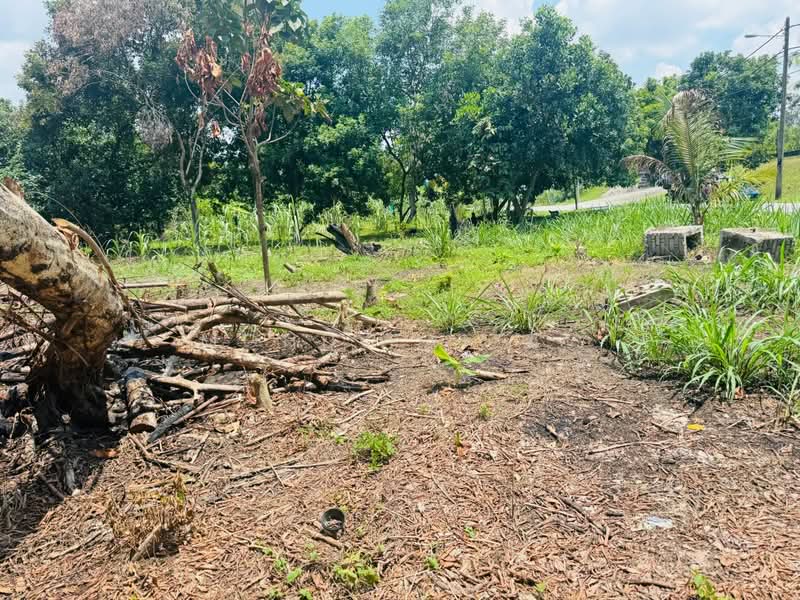Agricultural Land for Sale in Sungai Buloh (Selangor) - Mohd Faizal - Garden - PropertyGuru.com.my