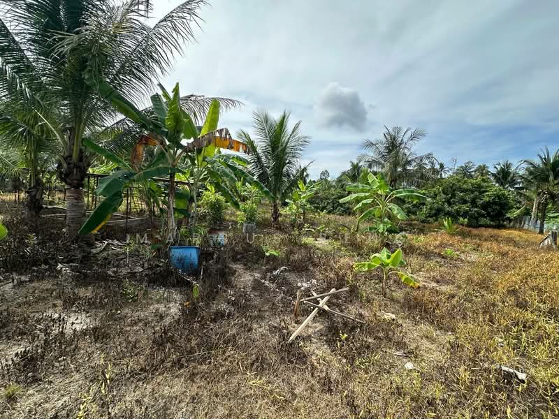 Agricultural Land for Sale in Simpang Pulai (Perak) - Marcus Seng - Garden - PropertyGuru.com.my