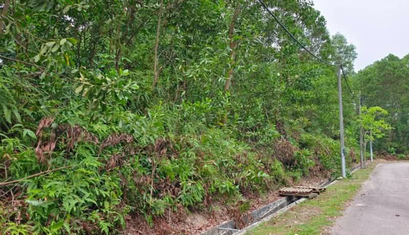 Tanah Kediaman untuk Dijual di Taman Banang Jaya (Batu Pahat) - Alexius Lim - Exterior - PropertyGuru.com.my