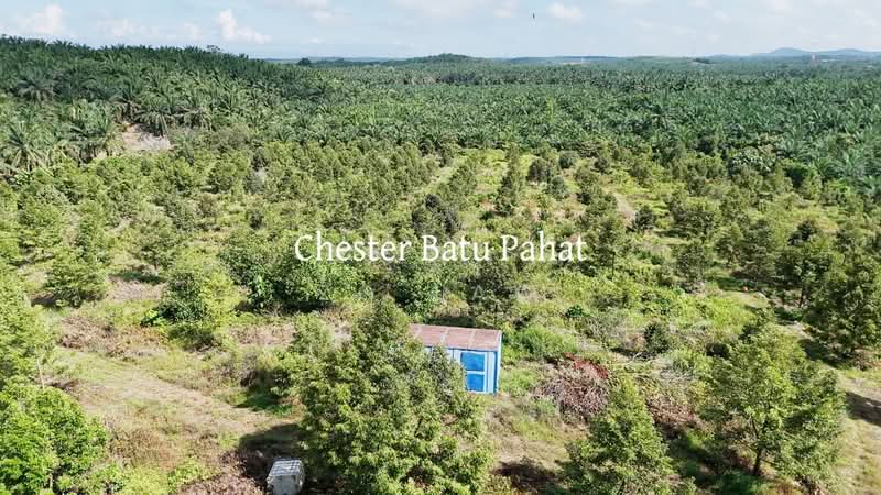Agricultural Land for Sale in Tanjong Semberong (Yong Peng) - ZG Law - PropertyGuru.com.my