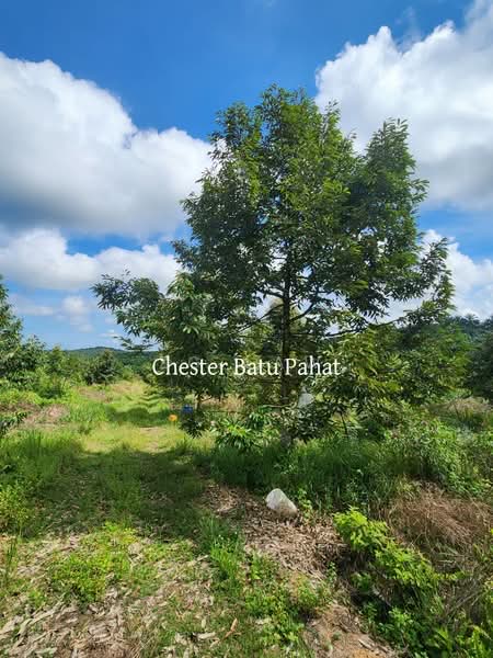 Agricultural Land for Sale in Tanjong Semberong (Yong Peng) - ZG Law - PropertyGuru.com.my