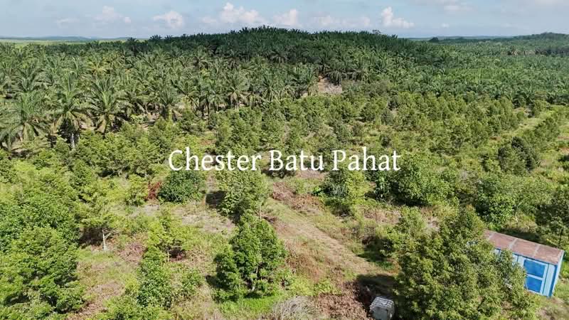 Agricultural Land for Sale in Tanjong Semberong (Yong Peng) - ZG Law - PropertyGuru.com.my