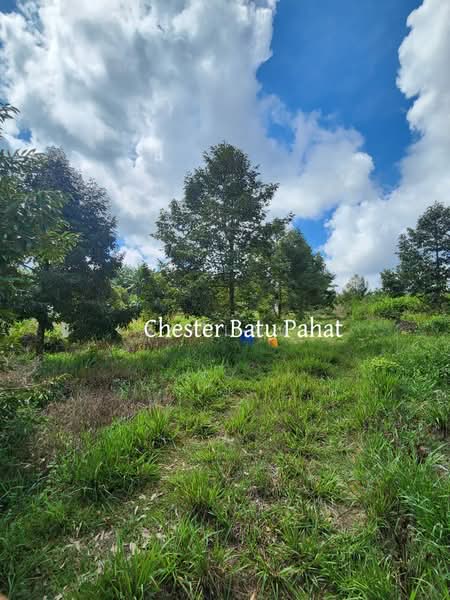 Agricultural Land for Sale in Tanjong Semberong (Yong Peng) - ZG Law - PropertyGuru.com.my