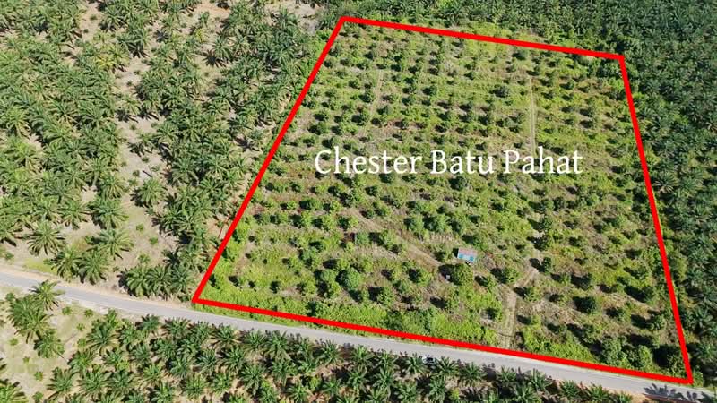 Agricultural Land for Sale in Tanjong Semberong (Yong Peng) - ZG Law - PropertyGuru.com.my
