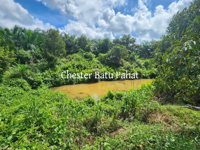 Agricultural Land for Sale in Tanjong Semberong (Yong Peng) - ZG Law - PropertyGuru.com.my
