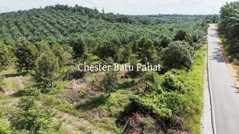 Agricultural Land for Sale in Tanjong Semberong (Yong Peng) - ZG Law - PropertyGuru.com.my
