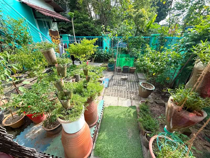 Rumah Teres 2-Tingkat untuk Dijual di Seksyen 6 (Petaling Jaya) - Juliana Mahmud - PropertyGuru.com.my