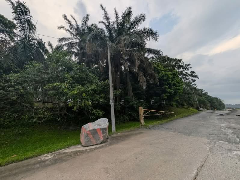 Tanah Pertanian untuk Dijual di Kulai (Johor) - Serene Teh - Exterior - PropertyGuru.com.my