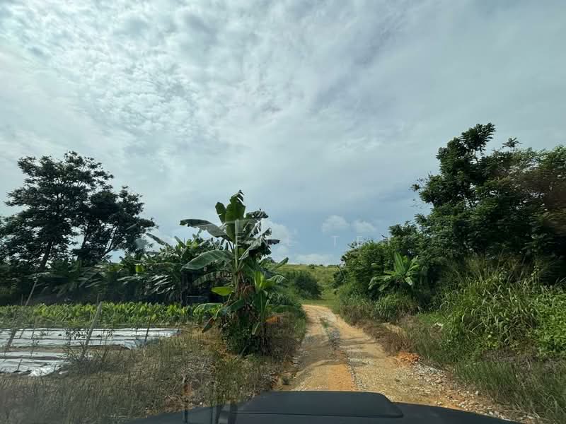 Tanah Perindustrian untuk Dijual di Plentong (Johor) - Serene Teh - Exterior - PropertyGuru.com.my