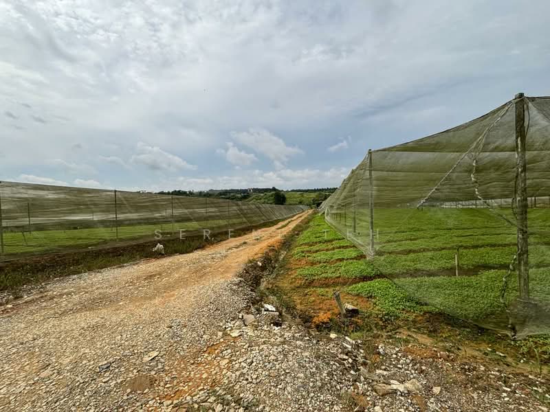 Tanah Perindustrian untuk Dijual di Plentong (Johor) - Serene Teh - Exterior - PropertyGuru.com.my