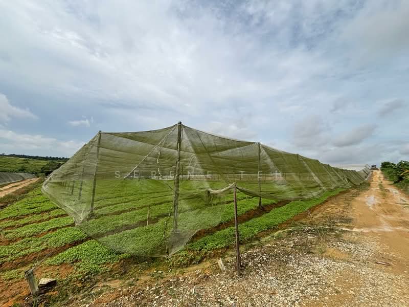 Tanah Perindustrian untuk Dijual di Plentong (Johor) - Serene Teh - Exterior - PropertyGuru.com.my