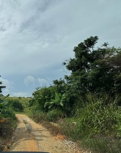 Tanah Perindustrian untuk Dijual di Plentong (Johor) - Serene Teh - Exterior - PropertyGuru.com.my