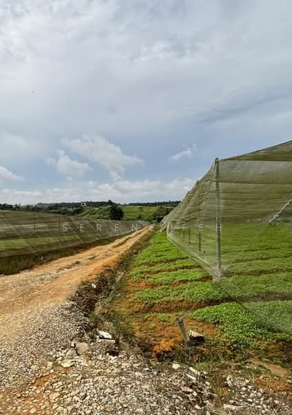 Tanah Perindustrian untuk Dijual di Plentong (Johor) - Serene Teh - Exterior - PropertyGuru.com.my